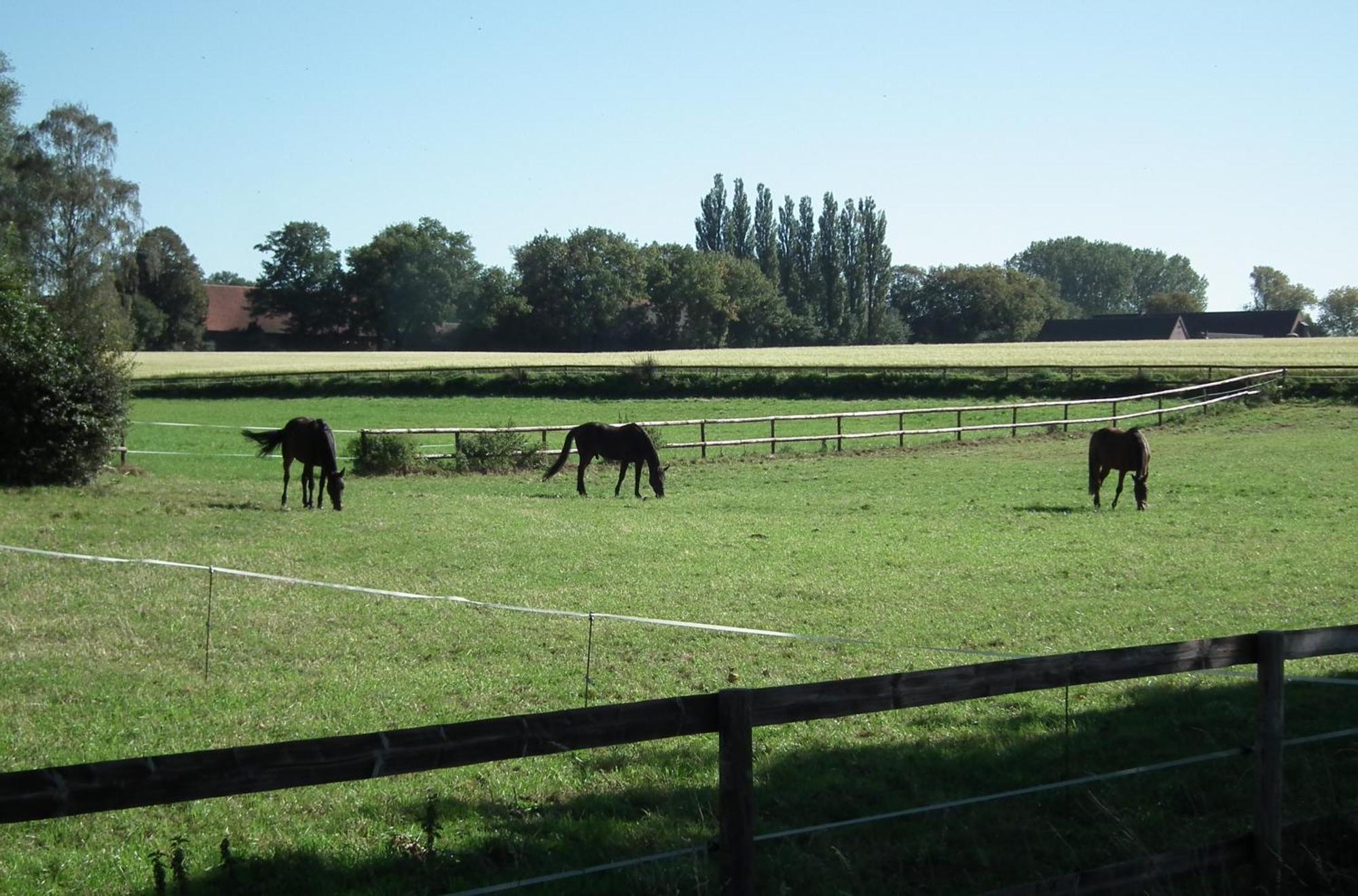 Ferienwohnung "Landblick" Ludinghausen Esterno foto