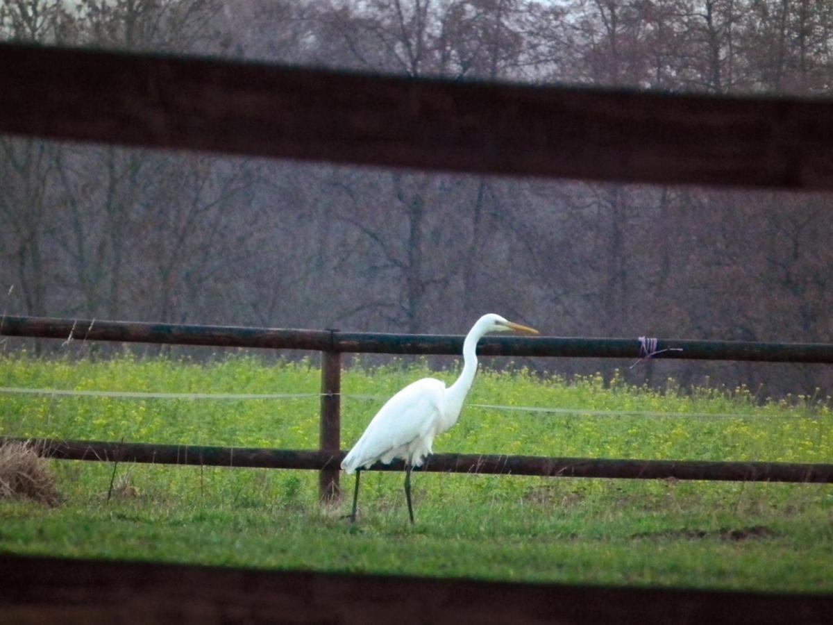 Ferienwohnung "Landblick" Ludinghausen Esterno foto